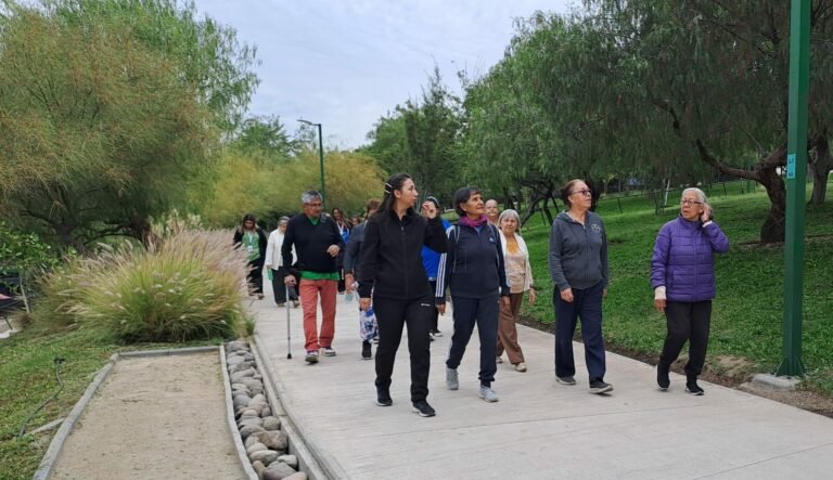 A Qué Edad Se Considera Adulto Mayor Según La Ley En Chile 8 A Qué Edad Se Considera Adulto Mayor Según La Ley En Chile