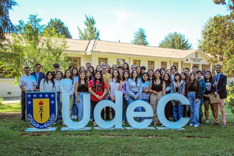 Qué ofrece el Instituto Profesional y Centro de Formación Técnica Santo Tomás en Chillán