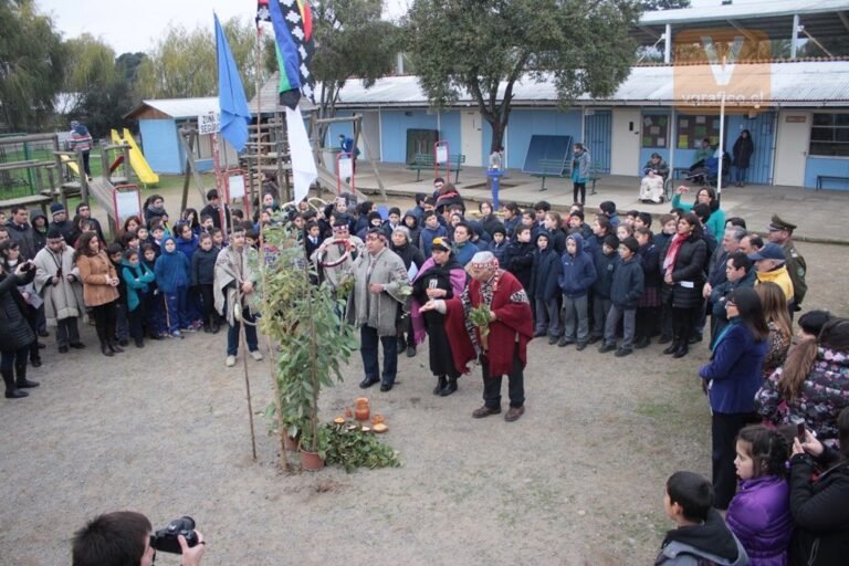 Qué es el We Tripantu y cómo contar su historia a los niños 6 Qué es el We Tripantu y cómo contar su historia a los niños