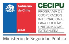 Dónde encontrar cursos oficiales del Gobierno de Chile para capacitarse 9 donde encontrar cursos oficiales del gobierno de chile para capacitarse