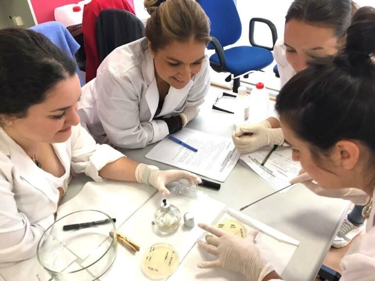 Cuáles Son Los Requisitos Del Mineduc Para Cuarto Medio Laboral 8 estudiantes en aula laboratorio tecnico
