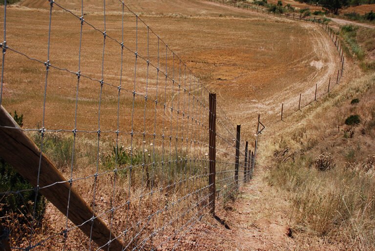 Dónde Comprar Malla de Alambre para Cerco Resistente y Económica 8 malla de alambre en rollo campo rural