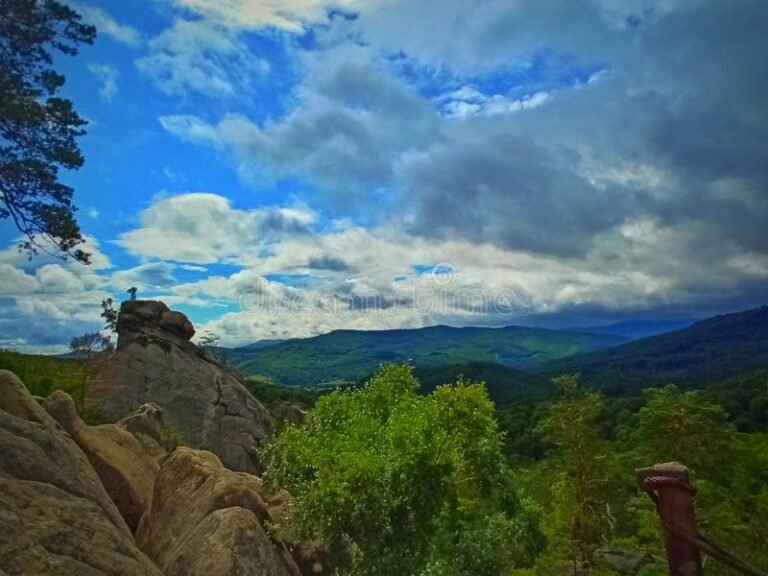 La Ley del Mono Está Vigente En Chile Y Qué Implica 28 mono observando paisaje chileno natural