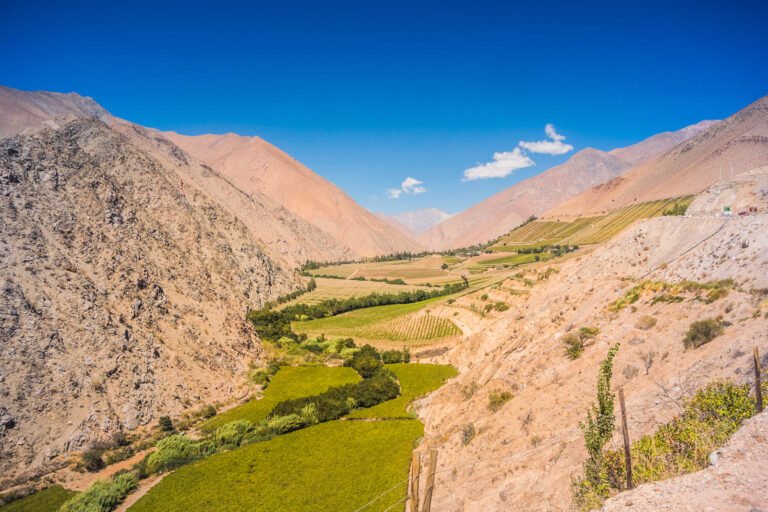Quiénes son los Diaguitas y qué historia tienen en el Valle del Elqui 2 paisaje ancestral del valle del elqui chile