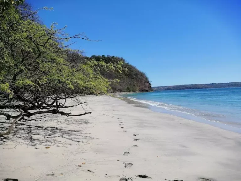 Qué actividades y servicios ofrece Playa Blanca en Las Cruces