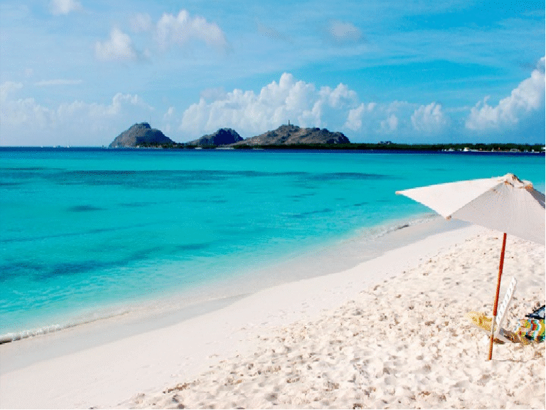 Qué Significa La Canción "Margarita Está Linda La Mar" 12 playa con margaritas y mar azul tranquilo