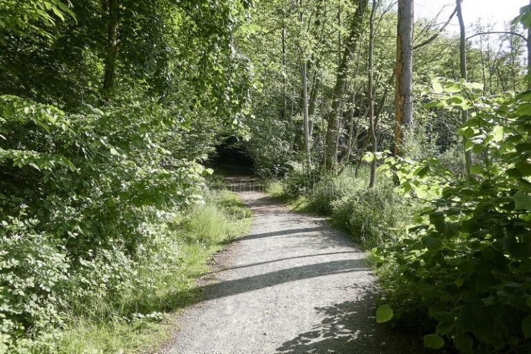 Qué actividades se pueden hacer en el Parque Nacional Bosque Fray Jorge