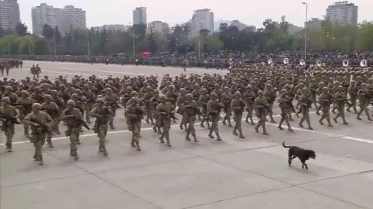 Por qué se dice "Adiós al Séptimo de Línea" en Chile 7 Por qué se dice «Adiós al Séptimo de Línea» en Chile